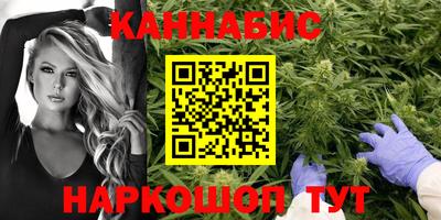 гидра Братск