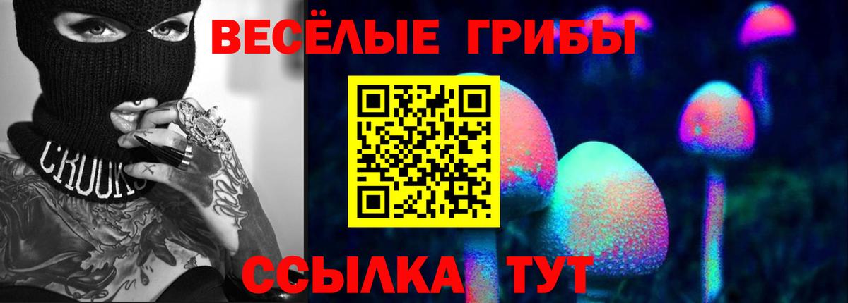 Псилоцибиновые грибы Psilocybine cubensis Шелехов
